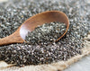 What are Chia Seeds?