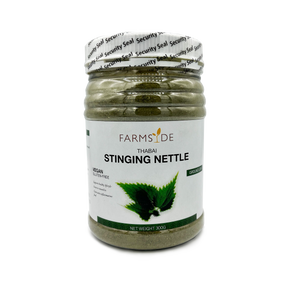 Stinging Nettle